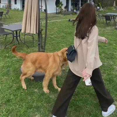 黑暗意识